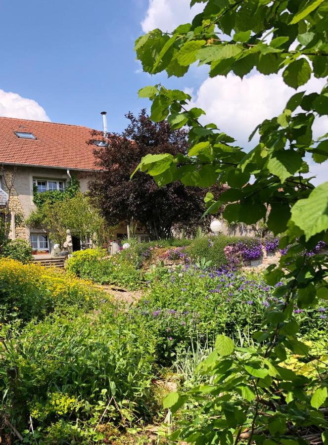 Le Clos Des Pommes Bioncourt Екстериор снимка